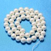 Round Shell Pearl Bead Strands BSHE-L011-8mm-A013A-3