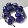 Natural Lapis Lazuli Beads Strands G-H095-A09-01-2