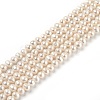 Natural Cultured Freshwater Pearl Beads Strands PEAR-L033-14-02-1