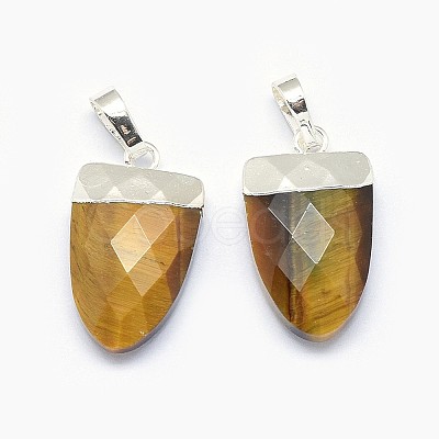 Natural Tiger Eye Pendants G-F584-H12-S-1