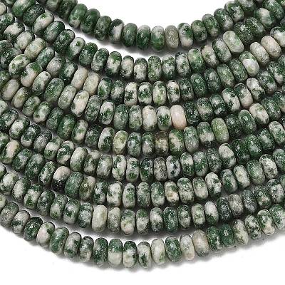 Natural Green Spot Jasper Beads Strands G-L635-A20-4x2mm-1