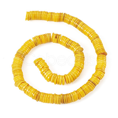 1 Strand Natural Freshwater Shell Beads Strands SHEL-TA0001-35A-1