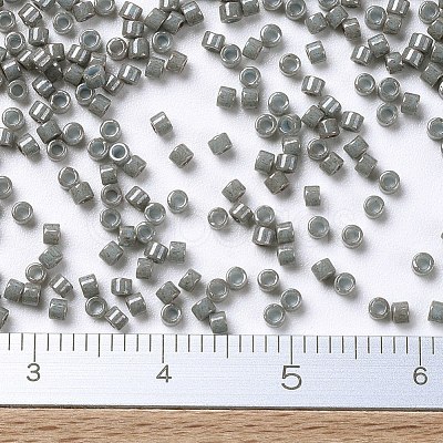 MIYUKI Delica Beads X-SEED-J020-DB0652-1