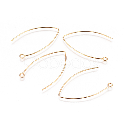 304 Stainless Steel Earring Hooks STAS-F227-26B-G-1
