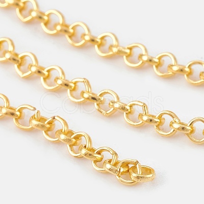 Iron Rolo Chains CH-S066-G-LF-1