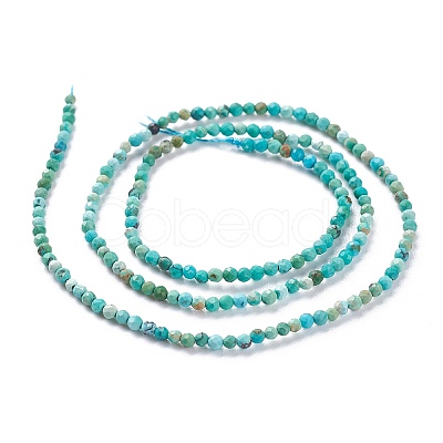 Natural HuBei Turquoise Beads Strands G-A026-A10-2mm-1
