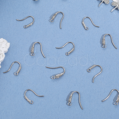 20Pcs 2 Styles 304 Stainless Steel Rhinestone Earring Hooks STAS-BBC0007-16A-1