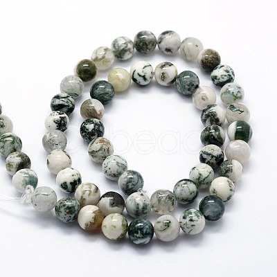 Natural Tree Agate Beads Strands G-I199-03-10mm-1