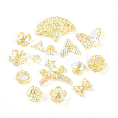 Transparent Acrylic Beads OACR-N137-73F-1