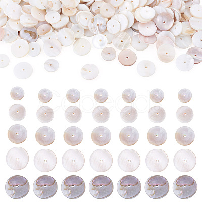 1 Strand 2 Styles Natural Freshwater Shell Beads Strands SHEL-TA0001-43-1