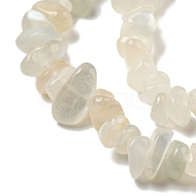 Natural White Moonstone Beads Strands G-P332-01-1