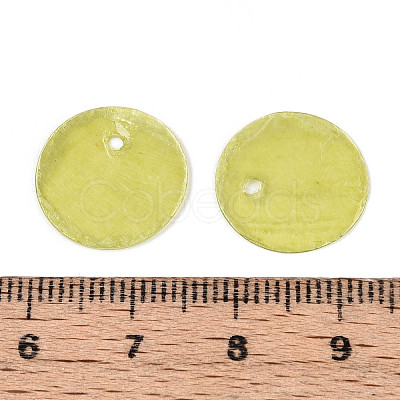 Spray Painted Natural Capiz Shell Disc Charms X1-BSHE-T014-02C-1