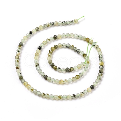 Natural Prehnite Beads Strands G-C009-A20-1