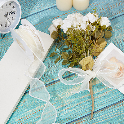 Polyester Organza Ribbons SRIB-WH20020-004B-1