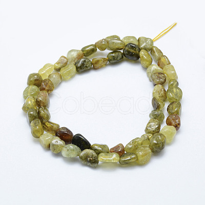 Natural Green Garnet Beads Strands G-K203-05-1