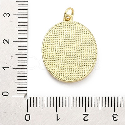 Brass Enamel Pendants KK-H527-01C-G01-1