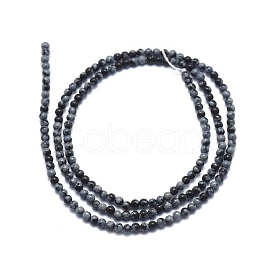 Natural Snowflake Obsidian Beads Strands G-A177-04-21-1