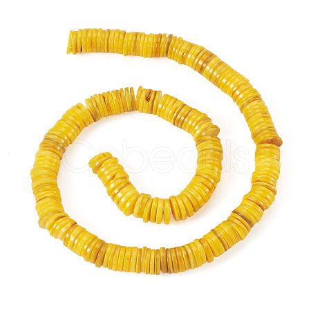 1 Strand Natural Freshwater Shell Beads Strands SHEL-TA0001-35A-1