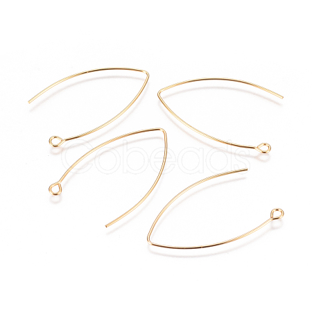 304 Stainless Steel Earring Hooks STAS-F227-26B-G-1