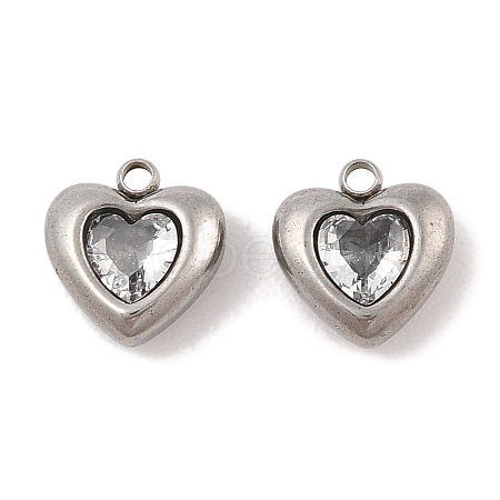 304 Stainless Steel Micro Pave Cubic Zirconia Charms STAS-S131-17P-04-1
