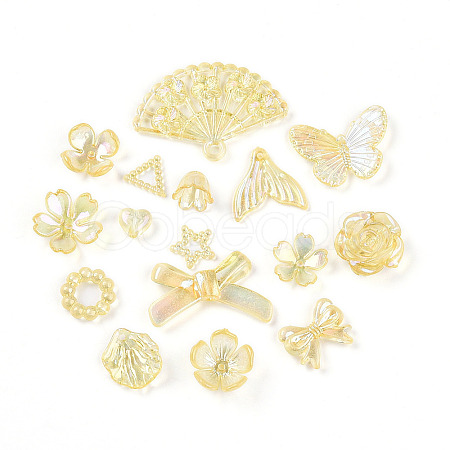 Transparent Acrylic Beads OACR-N137-73F-1