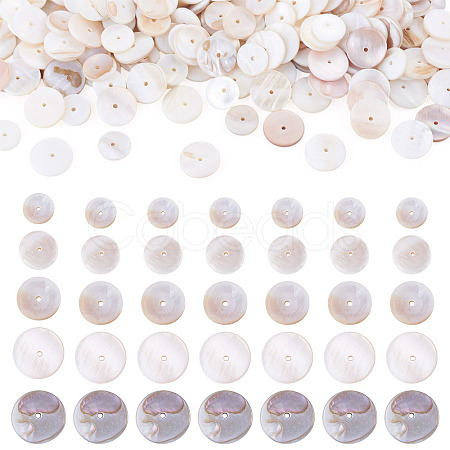 1 Strand 2 Styles Natural Freshwater Shell Beads Strands SHEL-TA0001-43-1