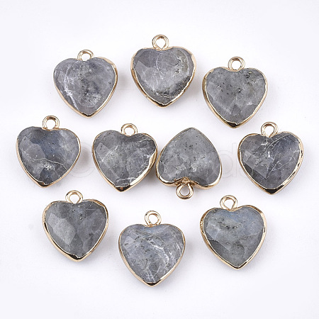 Electroplate Natural Labradorite Pendants X-G-T112-03A-1