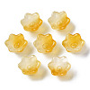 Transparent Two Tone Spray Painted Glass Beads GLAA-Q089-002B-009-2