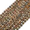 Natural Starburst Jasper Beads Strands G-C116-A40-02-2