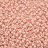 6/0 Glass Seed Beads SEED-T005-14-B02-3