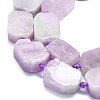 Natural Kunzite Beads Strands G-K245-J06-01-3