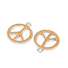 Alloy Enamel Pendants ENAM-P066-1-2