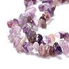 Natural Amethyst Beads Strands G-P332-07-5