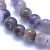 Natural Amethyst Beads Strands G-L552H-03A-2