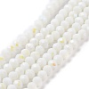 Electroplate Opaque Solid Color Glass Beads Strands LS-EGLA-A044-P6mm-L01-1