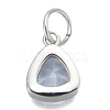 304 Stainless Steel Cubic Zirconia Pendant ZIRC-P080-B06-2