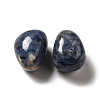 Natural Blue Spot Jasper Beads G-G979-A18-2