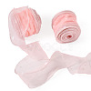 Polyester Deco Mesh Ribbons OCOR-TAC0024-004D-1