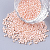 FGB 11/0 Grade A Glass Seed Beads SEED-S030-1493-1