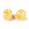 Baking Paint Pearlized Glass Seed Beads SEED-T008-03D-4