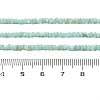Natural Freshwater Shell Beads Strands SHEL-P017-01A-08-4