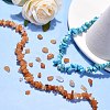 Chip Gemstone Beads Strands Mix M-F001-5