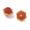 Natural Carnelian(Dyed & Heated) Beads GG-D002-17G-02-2