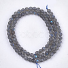 Natural Labradorite Beads Strands X-G-S333-6mm-035-2