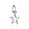 Tarnish Resistant 201 Stainless Steel Charms STAS-S105-T554D-6-1-1