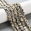 Natural Dalmatian Jasper Beads Strands G-B138-C08-01-5