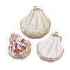 Electroplate Shell Pendants SSHEL-O019-04-1