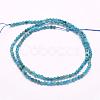 Natural Apatite Beads Strands G-F509-17-2mm-2