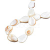 Natural White Shell Beads Strands PBB263Y-1-7