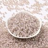 6/0 Opaque Colours Rainbow Plated Round Glass Seed Beads SEED-T006-04D-02-2